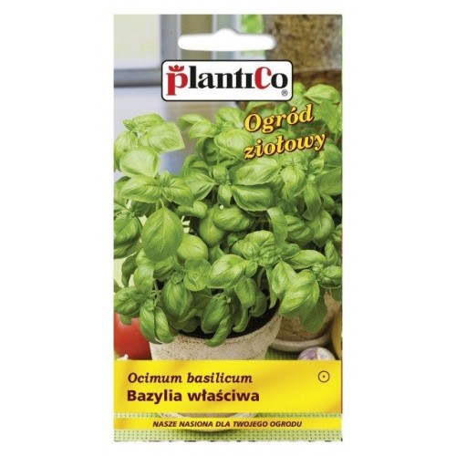Bazylia Właściwa 1g PlantiCo