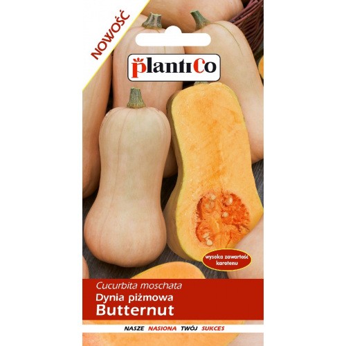 Dynia Piżmowa Butternut 2g PlantiCo