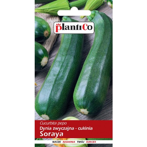 Nasiona Dynia Zwyczajna Cukinia Soraya 3g PlantiCo