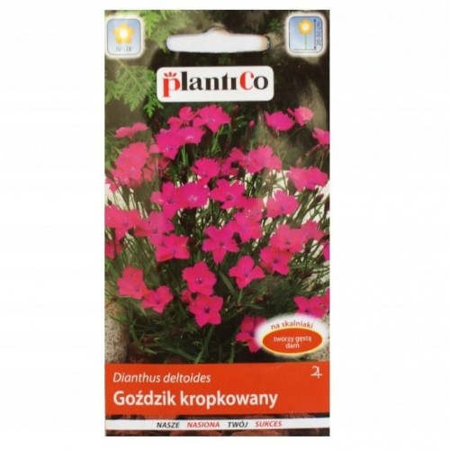 Nasiona Goździk Kropkowany Czerwony 0,5g PlantiCo