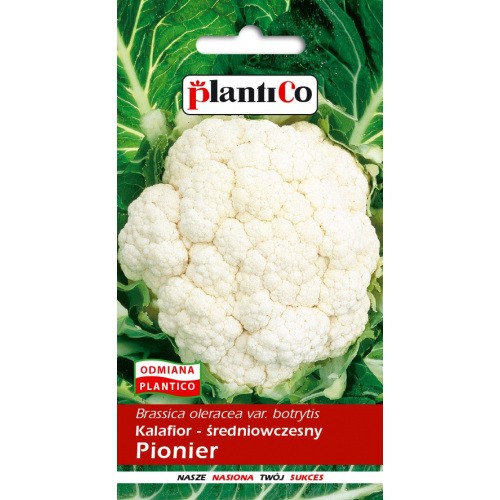 Kalafior Pionier 1g PlantiCo