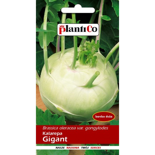 Kalarepa Gigant 2g PlantiCo