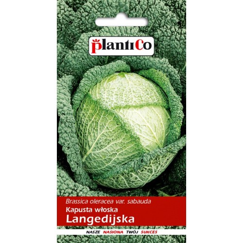 Kapusta Włoska Langedijska 2g PlantiCo