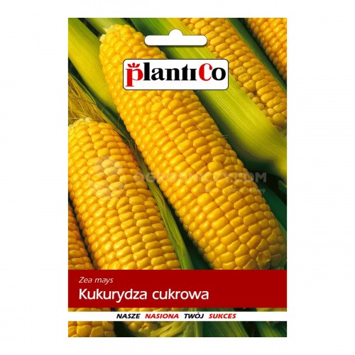 Kukurydza Cukrowa Gucio 10g PlantiCo