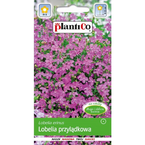 Lobelia Przylądkowa Różowa 0,2g PlantiCo