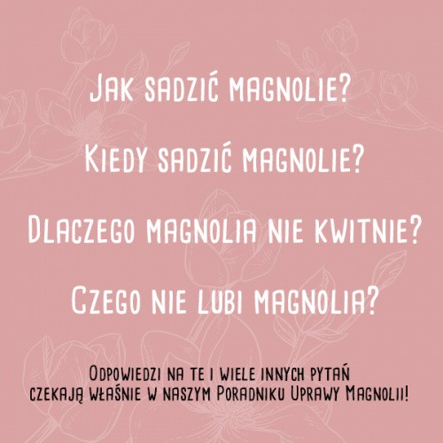 MAGNOLIE Poradnik Uprawy Magnolii E-book