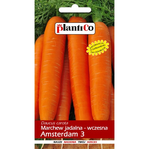 Marchew Jadalna Amsterdam 3 PlantiCo 5g