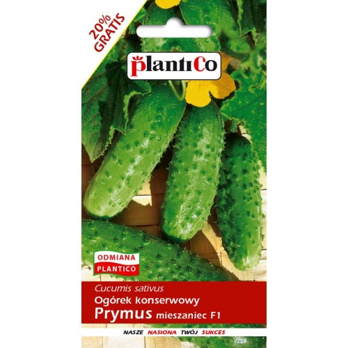Ogórek Gruntowy Prymus 6g PlantiCo