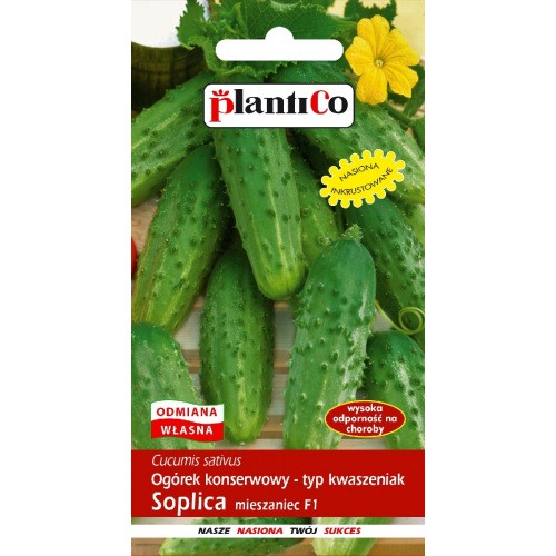 Ogórek Gruntowy Soplica 5g PlantiCo