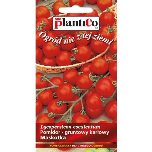 Pomidor Gruntowy Solanum Lycopersicum L. Maskotka 0,5g PlantiCo