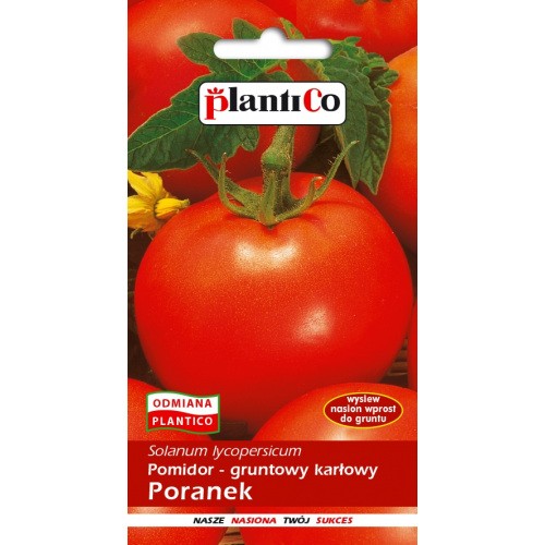 Pomidor Gruntowy Poranek 1g PlantiCo