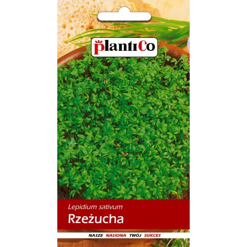 Rzeżucha Ogrodowa 10g PlantiCo