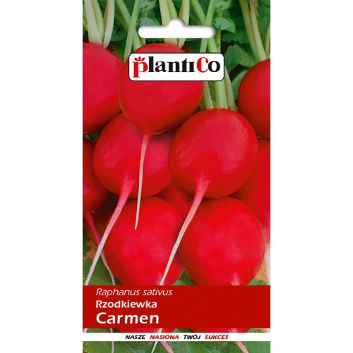 Rzodkiew Carmen 10g PlantiCo