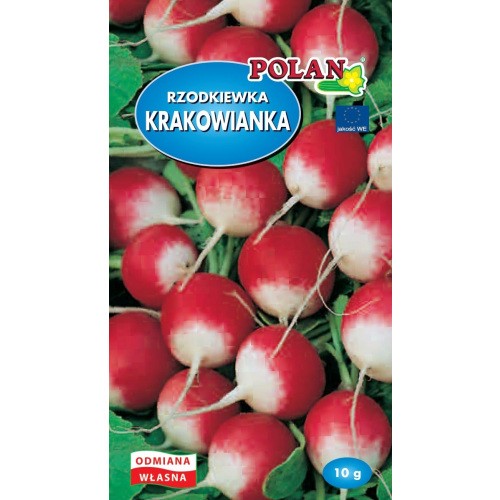 Rzodkiewka Krakowianka Nasiona 10g Polan