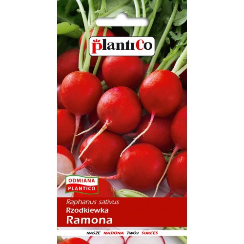 Rzodkiewka Ramona 10g PlantiCo