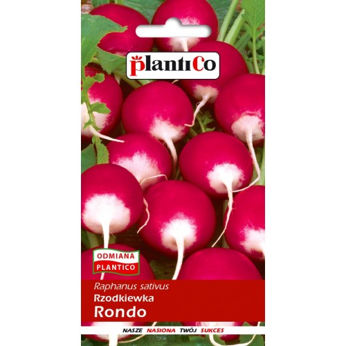 Rzodkiewka Rondo 10g PlantiCo