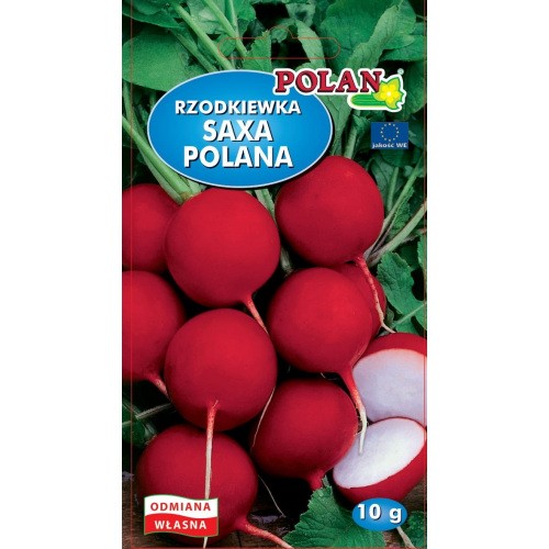 Rzodkiewka Saxa Polan Nasiona 10g Polan