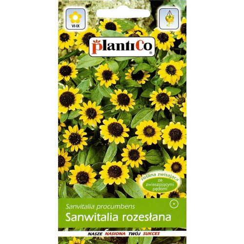 Nasiona Sanwitalia Rozesłana 0,5g PlantiCo