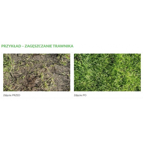  Trawa SAMO Zagęszczająca Renowacyjna 1kg SUBSTRAL
