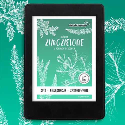 ROŚLINY ZIMOZIELONE Poradnik E-book