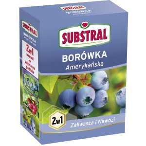 Nawóz Do Borówek Amerykańskich 2w1 1kg Substral 