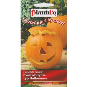 Dynia Olbrzymia Big Max Typ Halloween 2g PlantiCo