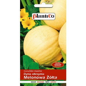 Dynia Olbrzymia Melonowa Żółta 5g PlantiCo