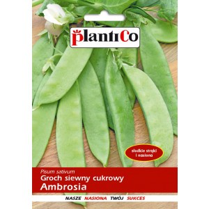 Groch Siewny Cukrowy Ambrosia 40g PlantiCo