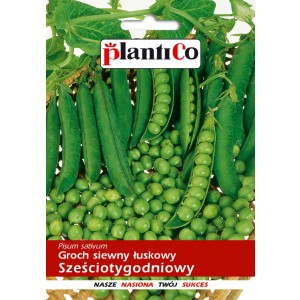 Groch Siewny Łuskowy Sześciotygodniowy 40g PlantiCo