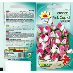 Nasiona Groszek Pachnący Pink Cupid Kupidyn Toraf