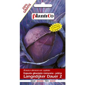 Kapusta Czerwona Langedijker Dauer 2,4g PlantiCo