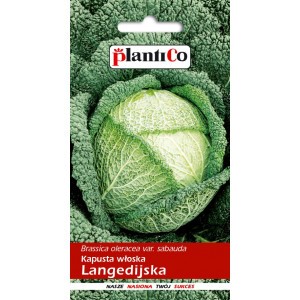 Kapusta Włoska Langedijska 2g PlantiCo