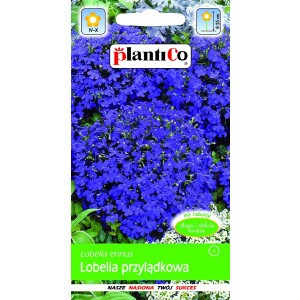 Lobelia Przylądkowa Fioletowa 0,2g PlantiCo