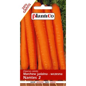 Marchew Jadalna Nantes 2 6g PlantiCo