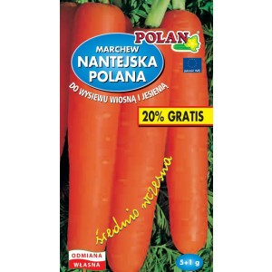 Marchew Jadalna Nantejska 6g Polan