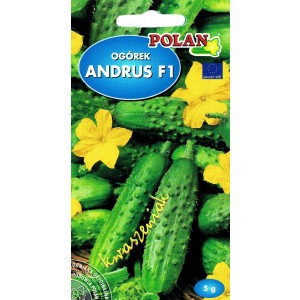 Ogórek Gruntowy Andrus - Mieszaniec Nasiona 5g Polan