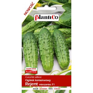 Ogórek Gruntowy Rejent 5g PlantiCo