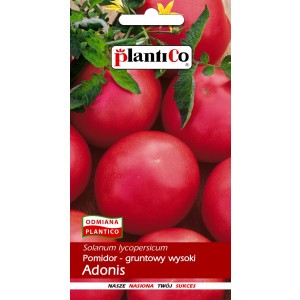 Pomidor Gruntowy Adonis 0,5g PlantiCo