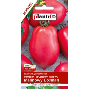 Pomidor Gruntowy Malinowy Bosman 0,5g PlantiCo