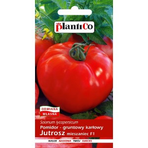 Pomidor Gruntowy Jutrosz 0,5g PlantiCo