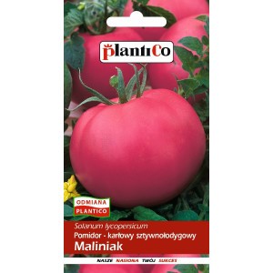 Pomidor Gruntowy Maliniak 0,5g PlantiCo