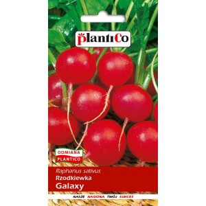 Rzodkiewka Galaxy 10g PlantiCo