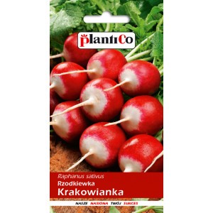 Nasiona Rzodkiewka Krakowianka 10g PlantiCo