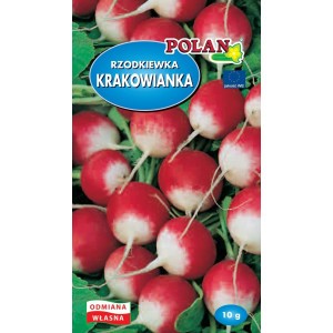 Rzodkiewka Krakowianka Nasiona 10g Polan