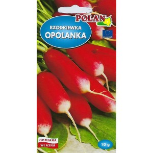 Rzodkiewka Opolanka Nasiona 10g Polan