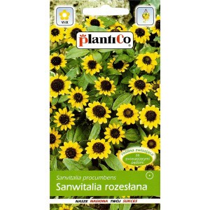 Nasiona Sanwitalia Rozesłana 0,5g PlantiCo