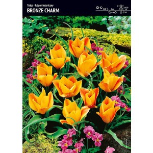 Tulipan Bronze Charm 5szt