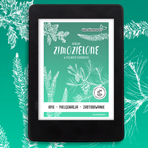 ROŚLINY ZIMOZIELONE Poradnik E-book