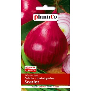 Cebula Scarlet 5g PlantiCo