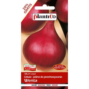 Cebula Wenta 6g PlantiCo